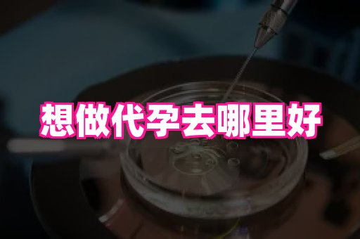 安徽助孕网 3